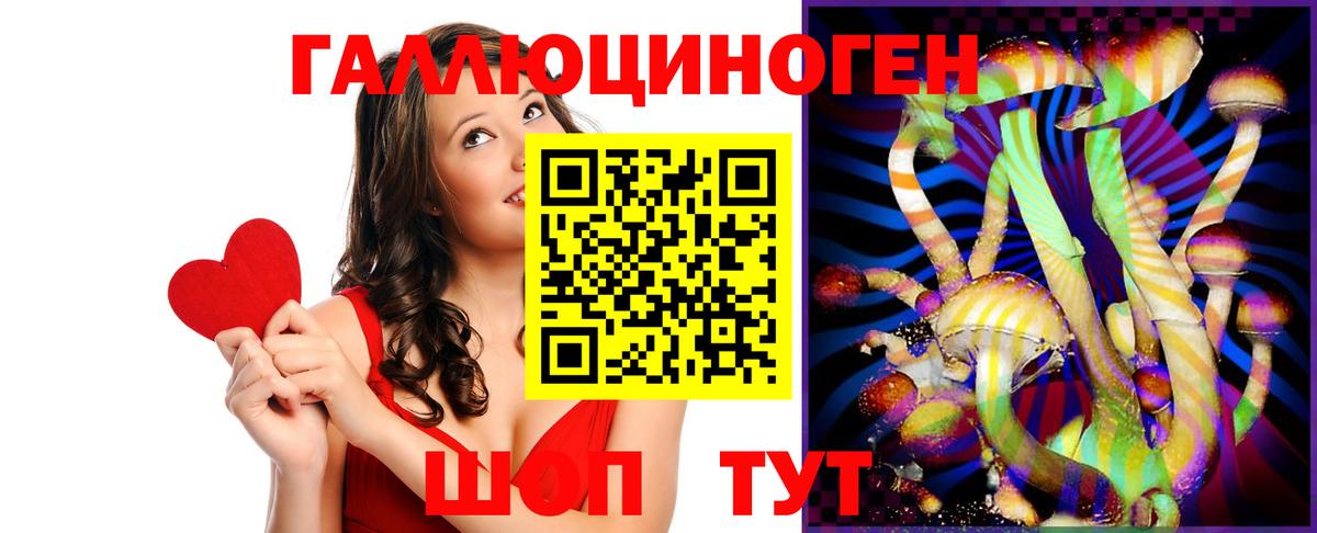 Галлюциногенные грибы прущие грибы  Вход с VPN  Псилоцибиновые грибы мицелий  Абакан 